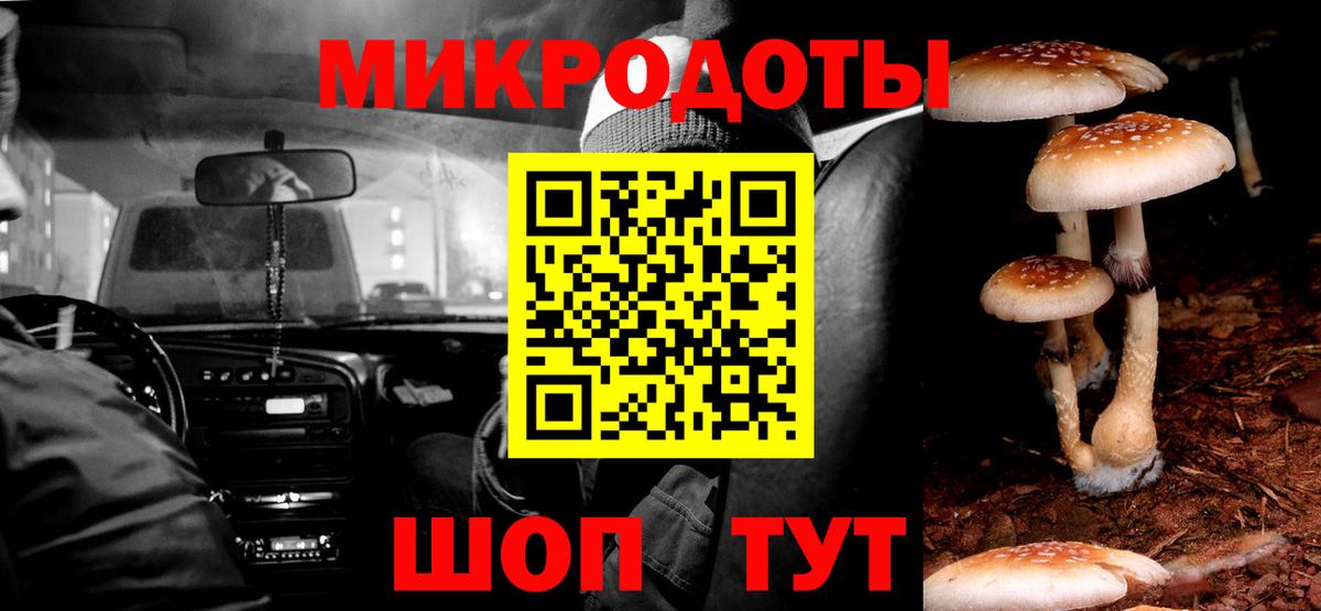 Псилоцибиновые грибы Psilocybine cubensis  Вход с VPN  Псилоцибиновые грибы прущие грибы  Муром 