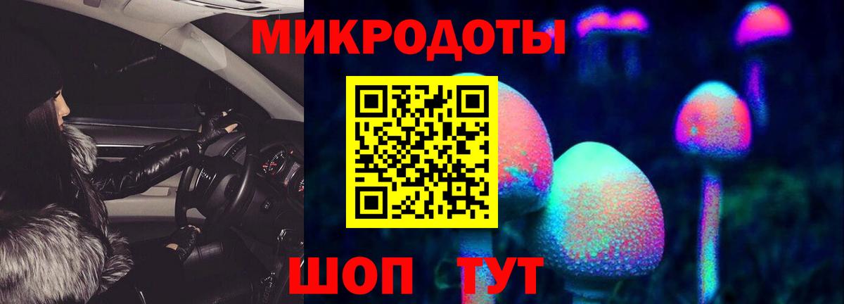 Галлюциногенные грибы Psilocybe Муром