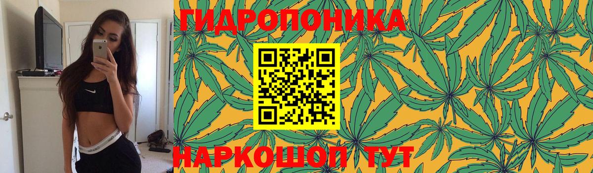 Шишки марихуана Bruce Banner  Шишки марихуана LSD WEED  Вход с VPN  Муром  Каннабис индика 